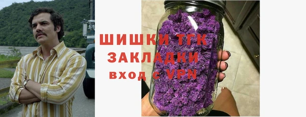 дмт Каменка