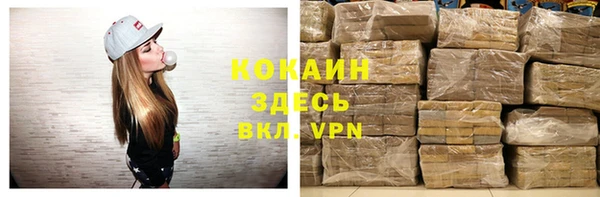 дмт Каменка