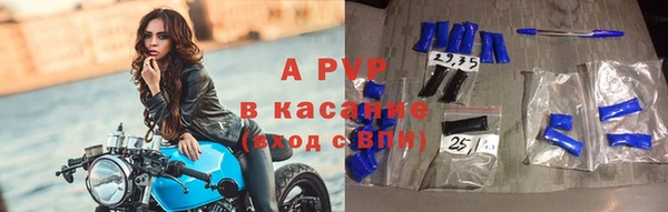 дмт Каменка
