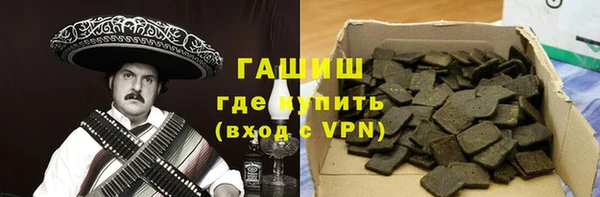 дмт Каменка