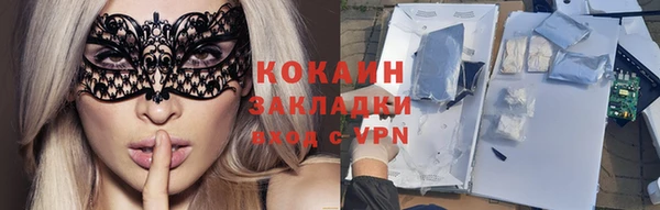 дмт Каменка