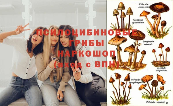 дмт Каменка