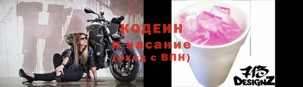 дмт Каменка