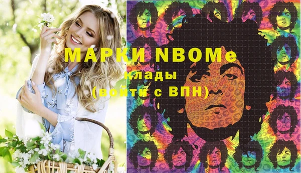 дмт Каменка