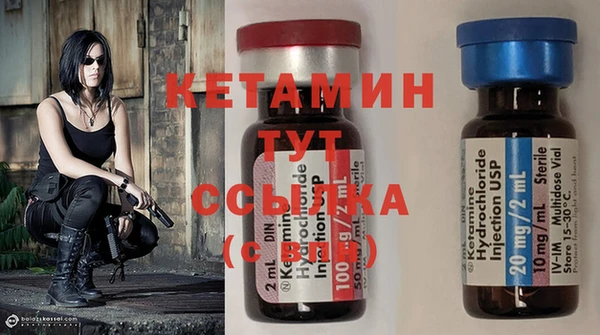 дмт Каменка