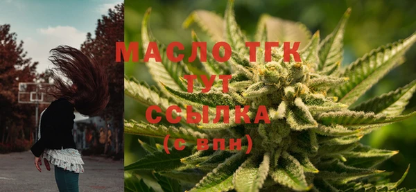 дмт Каменка