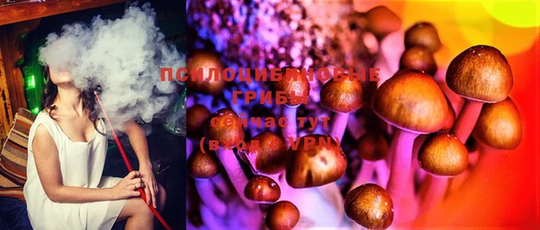 дмт Каменка