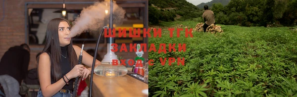 дмт Каменка