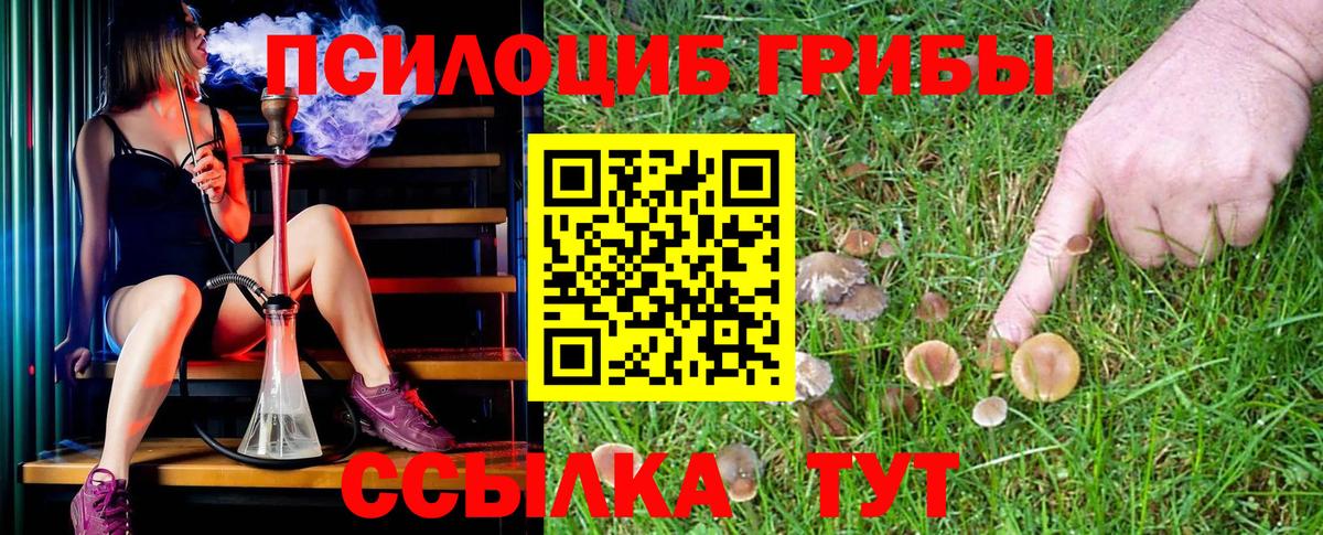 Галлюциногенные грибы Cubensis Касимов